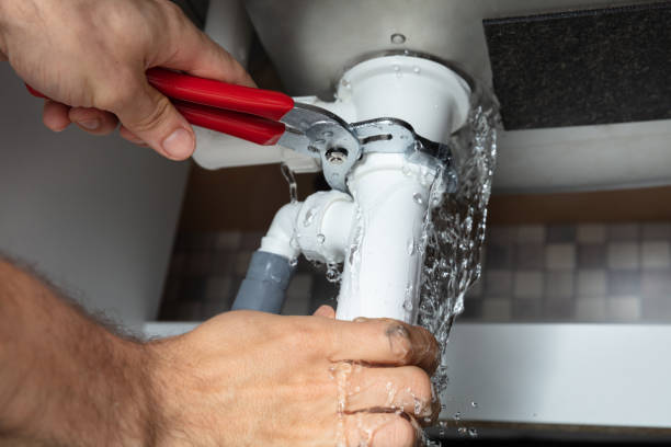 Best Flooded house restoration  in Avis, PA