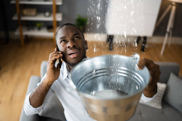 Best Water damage restoration experts  in Avis, PA