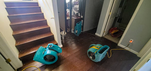 Best Ceiling water damage repair  in Avis, PA