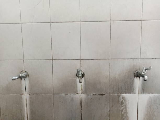 Best Water damage restoration near me  in Avis, PA