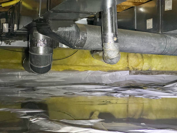 Best Flooded house restoration  in Avis, PA