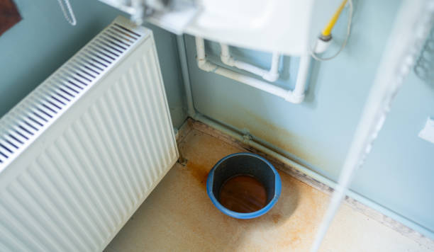 Best Water damage cleanup near me  in Avis, PA